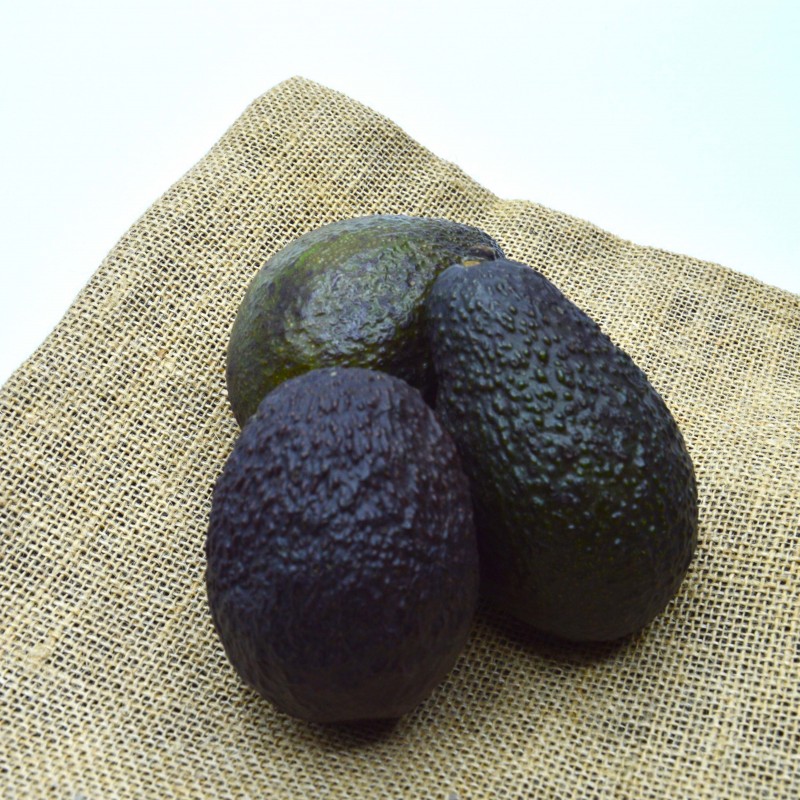 Avocat Mûr