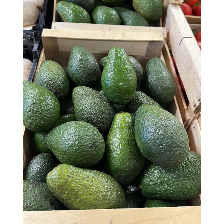 Avocat Calibre